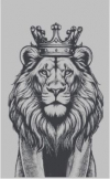 Полотенце махровое Lord of the jungle 100*150  цвет10000 во Владивостоке по выгодным ценам
