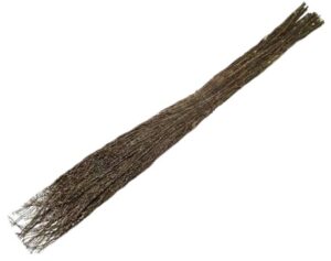 Метла берёзовая